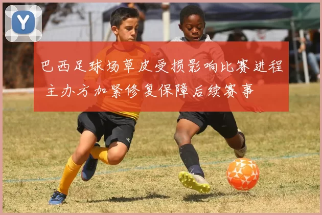 巴西足球场草皮受损影响比赛进程 主办方加紧修复保障后续赛事