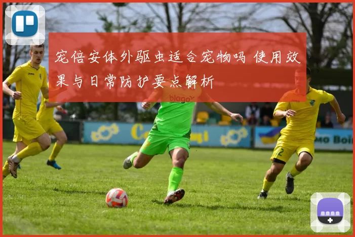 宠倍安体外驱虫适合宠物吗 使用效果与日常防护要点解析