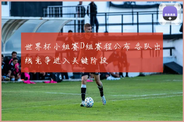 世界杯小组赛D组赛程公布 各队出线竞争进入关键阶段