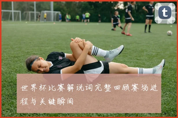 世界杯比赛解说词完整回顾赛场进程与关键瞬间